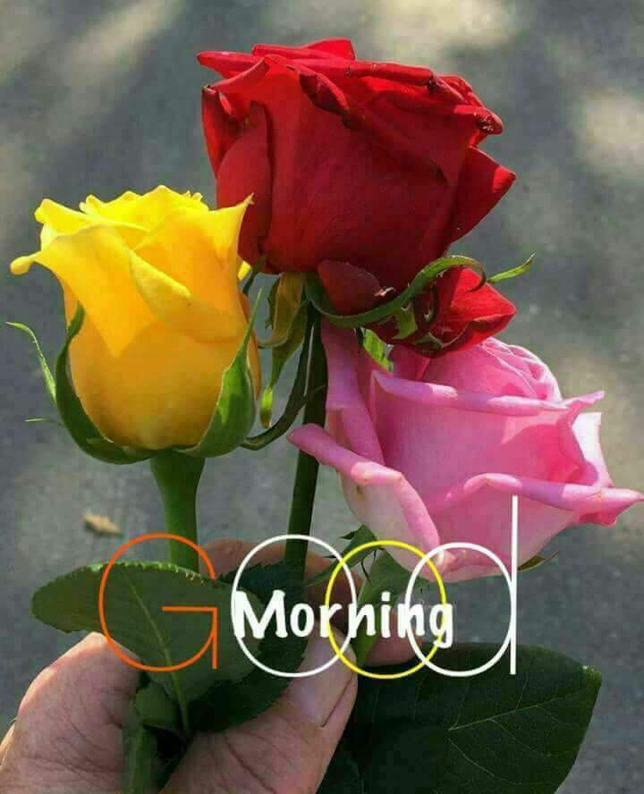 #happymorningtoall