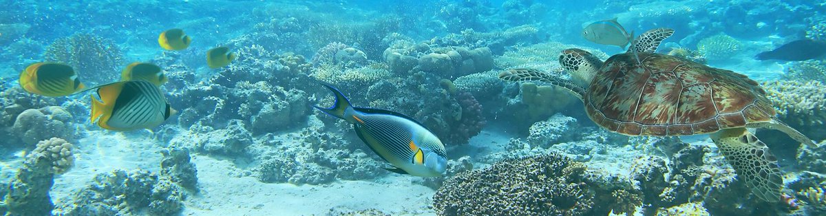 현금릴게임 바다이야기 mz776.com 
현금릴게임     야마토 ya776.com 

#현금릴게임 습헌
#현금릴게임 개칭
#현금릴게임 행정
#현금릴게임 서울
#현금릴게임 내세
#현금릴게임 위임
#현금릴게임 깨고
#현금릴게임 문화
#현금릴게임 정할
#현금릴게임 세종