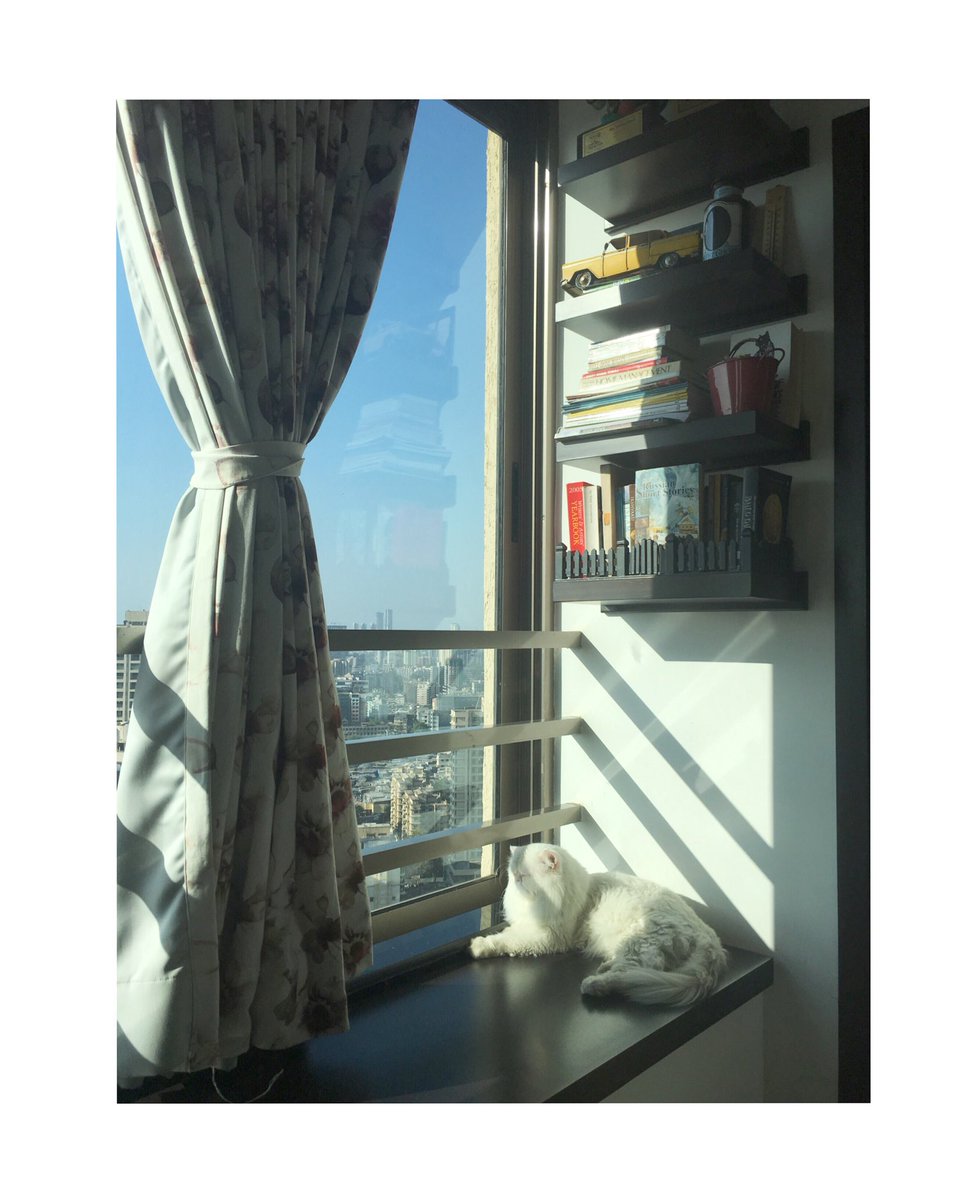 Basking in the morning sun 🌤