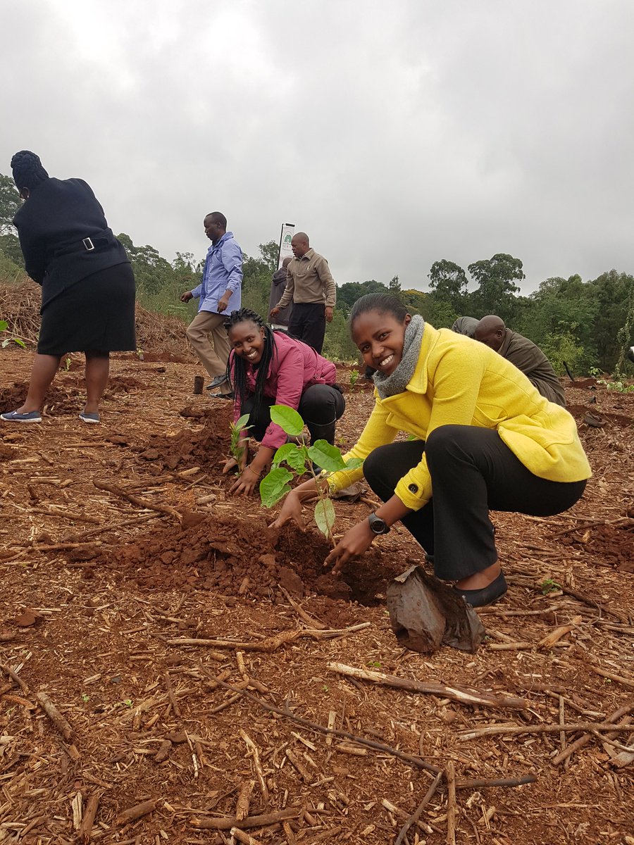 KeForestService's tweet photo. Happening now; International Day of Forests at the Wangari Maathai corner,  Karura Forest @WilliamsRuto @Environment_Ke @MyGovKe https://t.co/PCUXzpyw4s