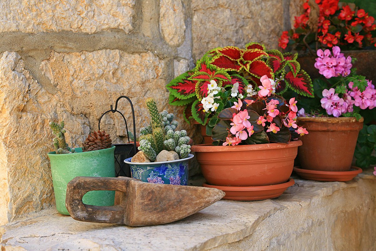 TZGradac's tweet image. Jučer, 20.03., u 17:15h nam je stiglo proljeće, a vani je hlaadnoo😱 ali evo jedna šarena slika da se osjećamo bolje☺️🌺🌻🌼