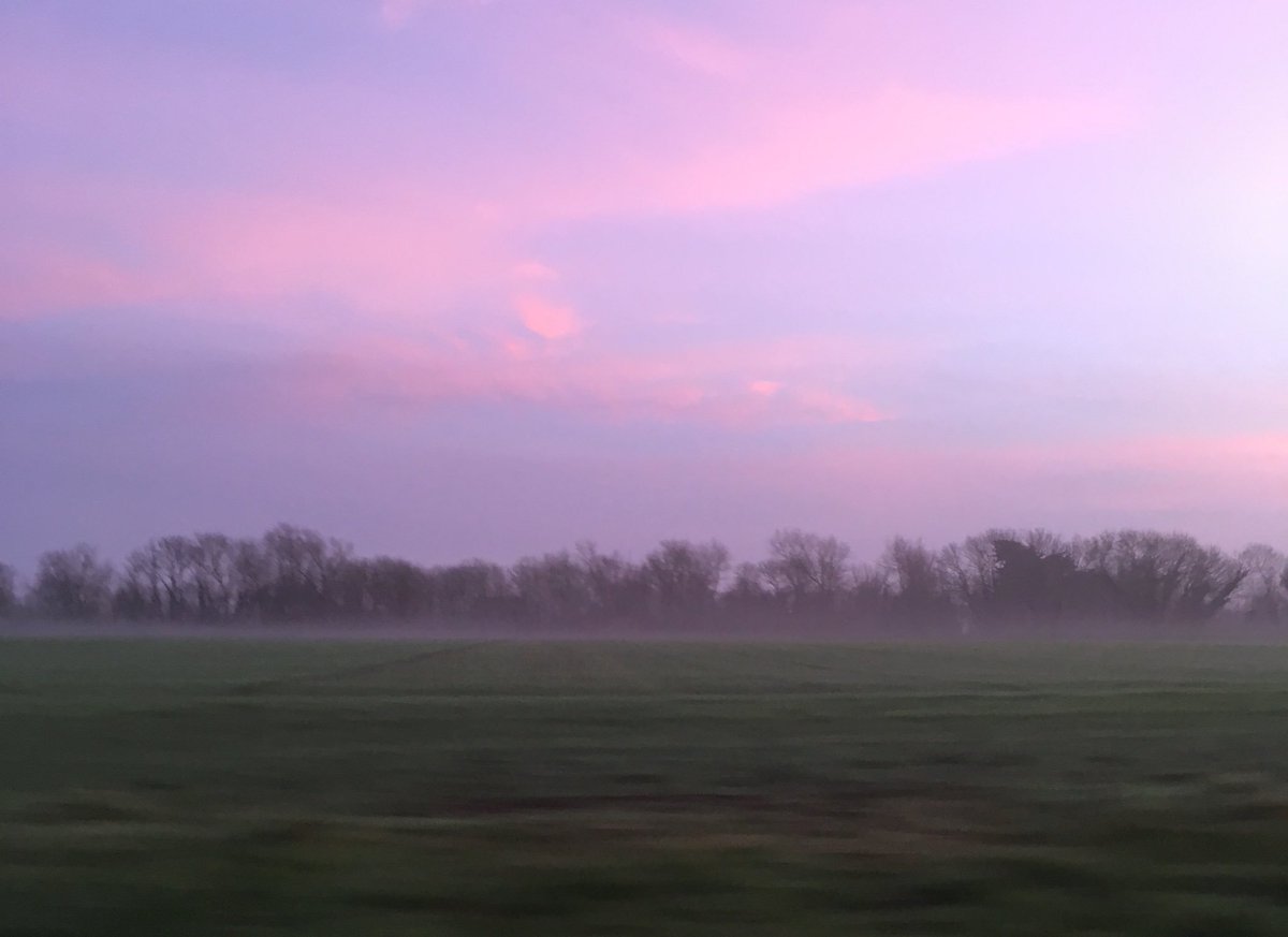 PaysBigoudenSud's tweet photo. MT @NatPennArBed: Campagne bigoudène. Couleurs d’un soir d’hiver. #bigoudenjoy #toutcommenceenfinistere #paysbigouden #coucherdesoleil #sunsetlights #pink #rose #campagne #bretagne #breizh #finistere #igersfinistere #plomeur https://t.co/NDGMDTEqbP