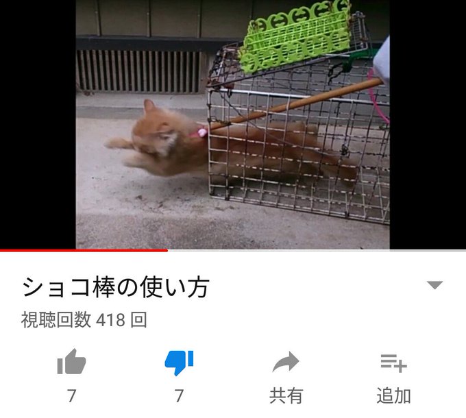 動物愛護法のtwitterイラスト検索結果 古い順