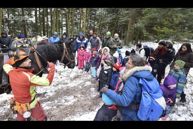 "Calypso, une belle jument noire de trait du Nord âgée de 6 ans, accompagne Denis Ferry dans ses travaux de débardage depuis un an et demi." - Article VosgesMatin
vosgesmatin.fr/environnement/…
