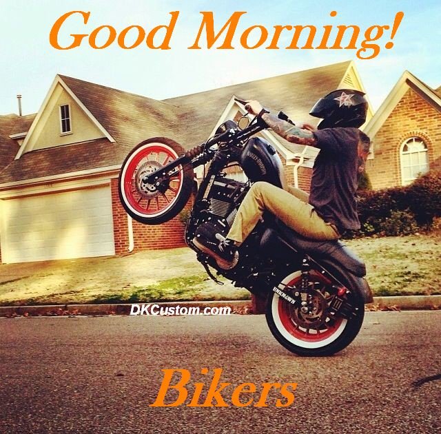DKCustom1's tweet image. Good Morning Bikers!

Colby on his #Harley #DKCustom #Outfitted #Sportster #Wheelie #Hooligan #ftw #bikerlife #rideordie #lifebehindbars #idratherberiding #harleylife #harleytherapy #livefree #ridefree