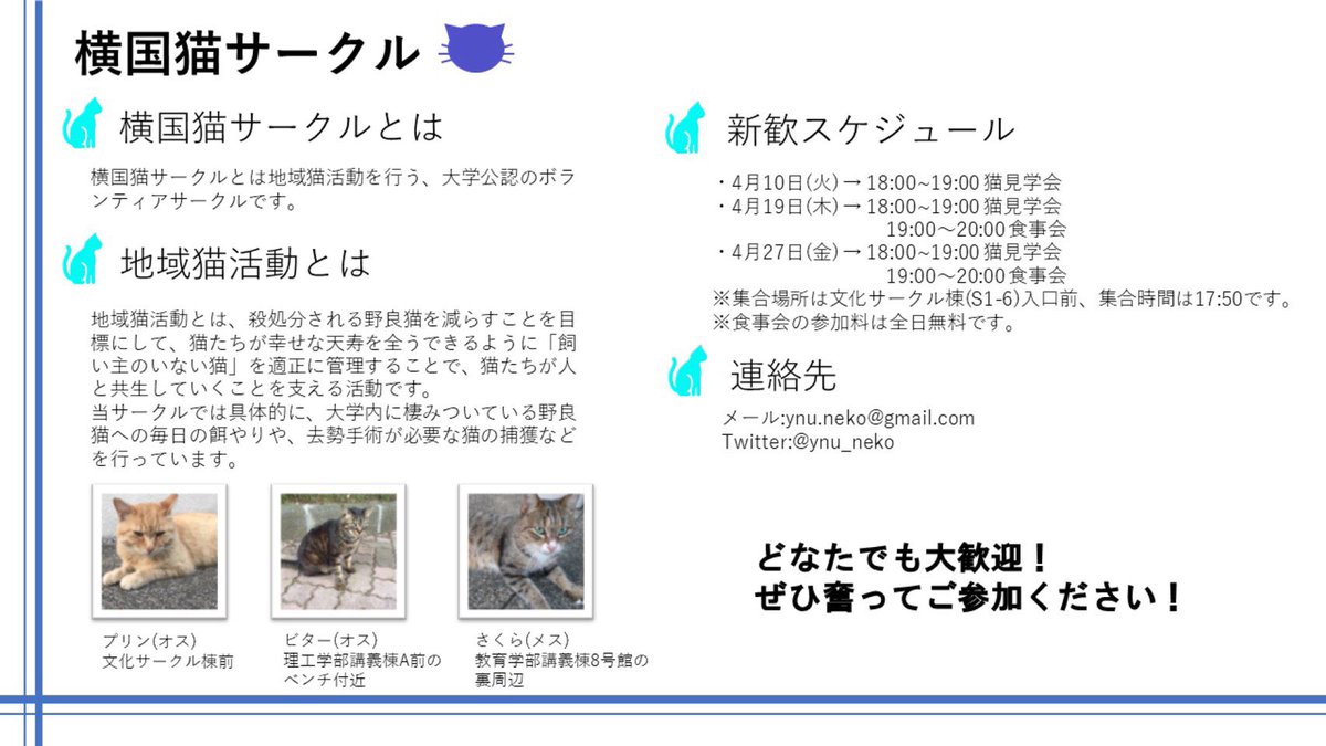 横浜国立大学ネコサークル Twitterissa ネコサーからのお知らせ 本日は後期日程の合格発表でしたね 合格された皆さん おめでとうございます 横浜国立大学ネコサークルの新歓イベントの日程が変更になりましたのでお知らせします 猫好きの方は是非足を運んで