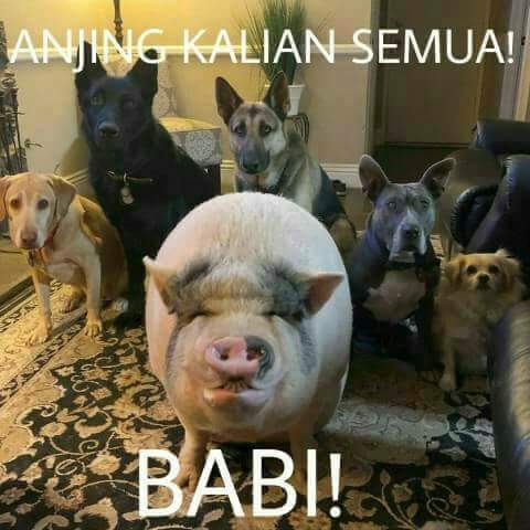 Receh Tapi Gue Ngakak Kompilasi 25 Meme Plesetan Cocok Banget