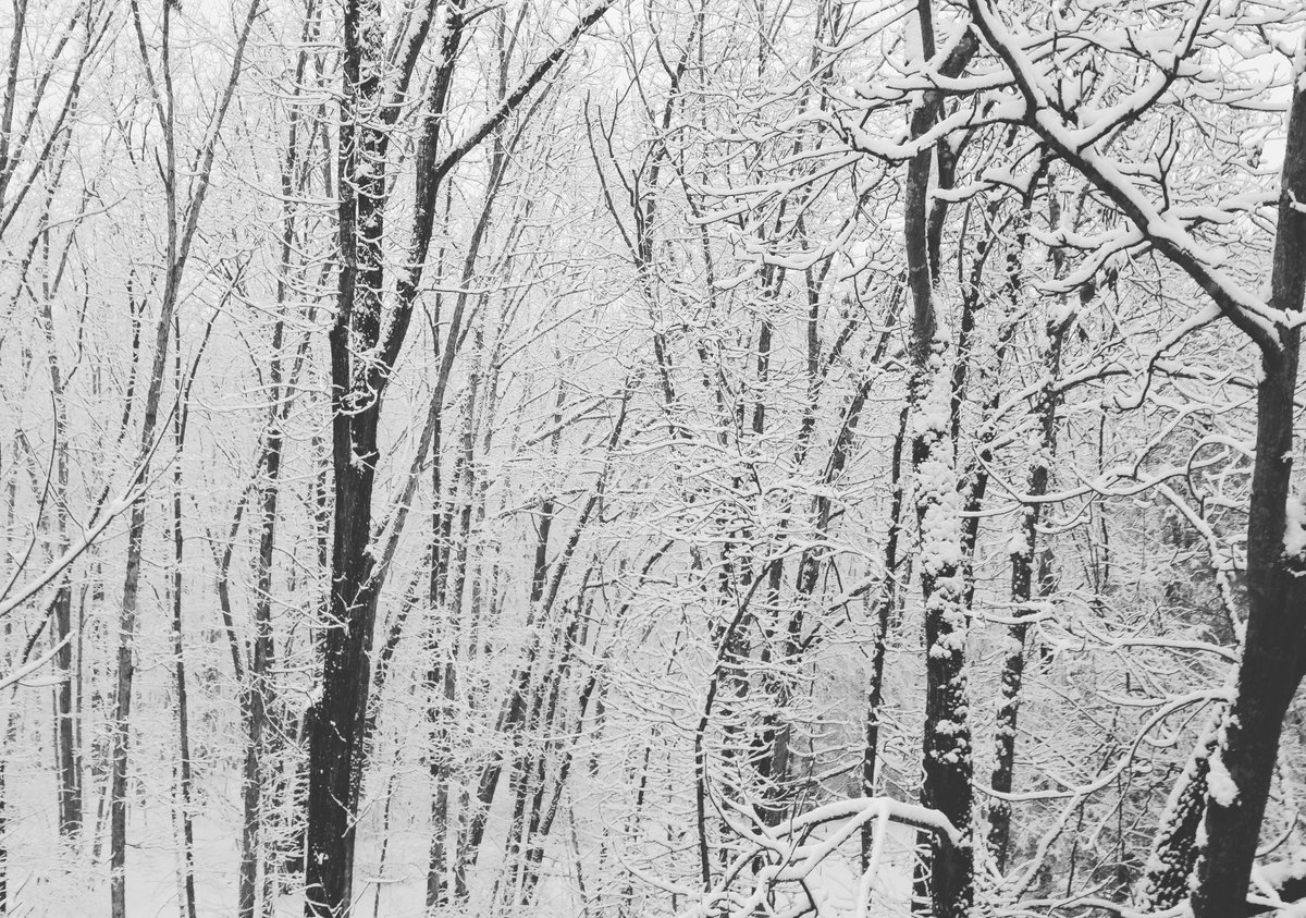 VTpress's tweet image. "Spring"