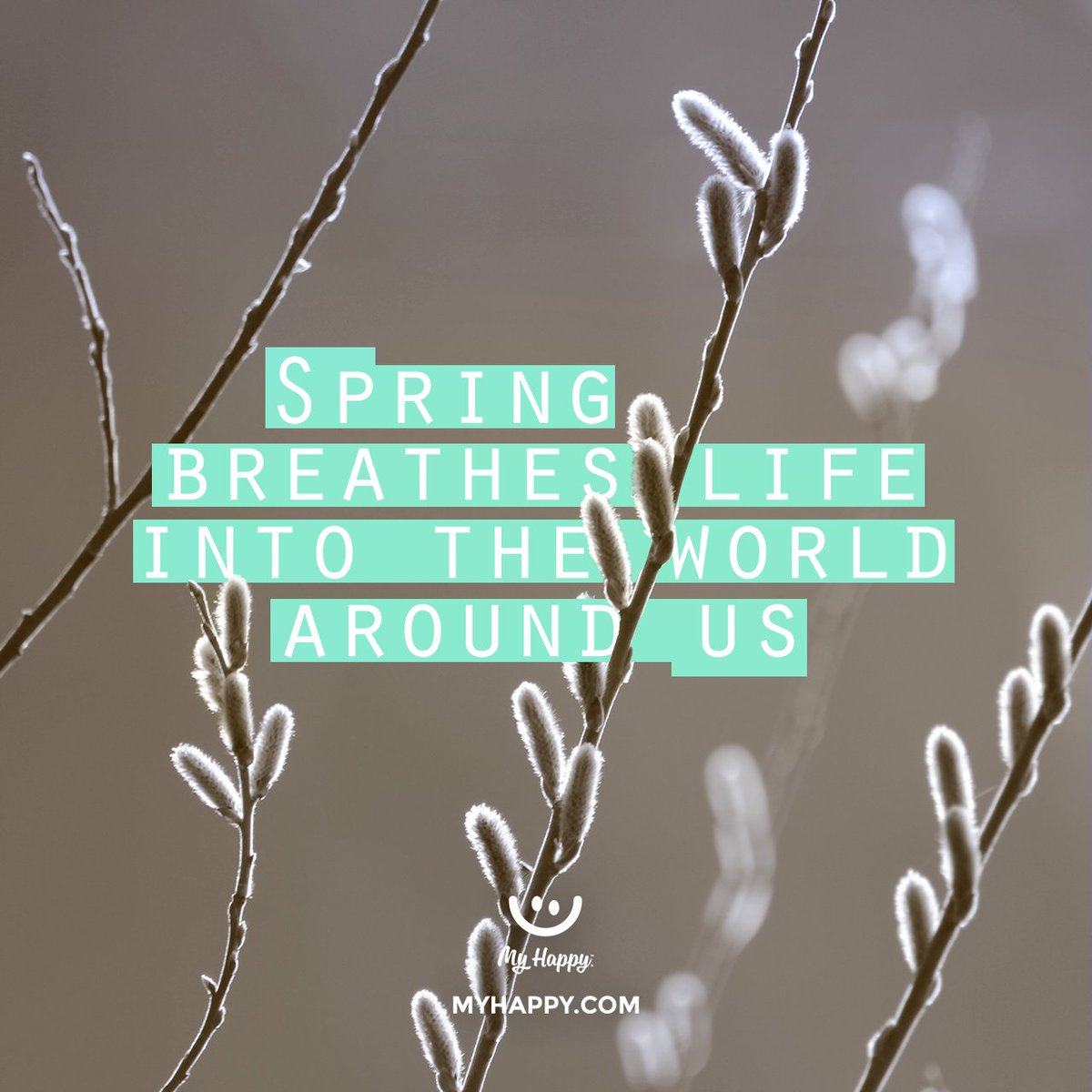 myhappydaily's tweet image. Let your joy burst forth like flowers in the spring. #Spring #happyspring2018 #Spingbreak #Flowers #life #SpringFever #SpringVibes #myhappy