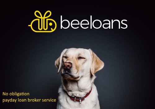 BeeLoans's tweet photo. Wondering how our payday loan broker service works? We understand that finding a payday loan can be confusing, but we have made our process as simple as possible! Read more at https://t.co/g9VoDnqSai for all the info. Get the #loan you deserve today. https://t.co/A6CgJKQodr