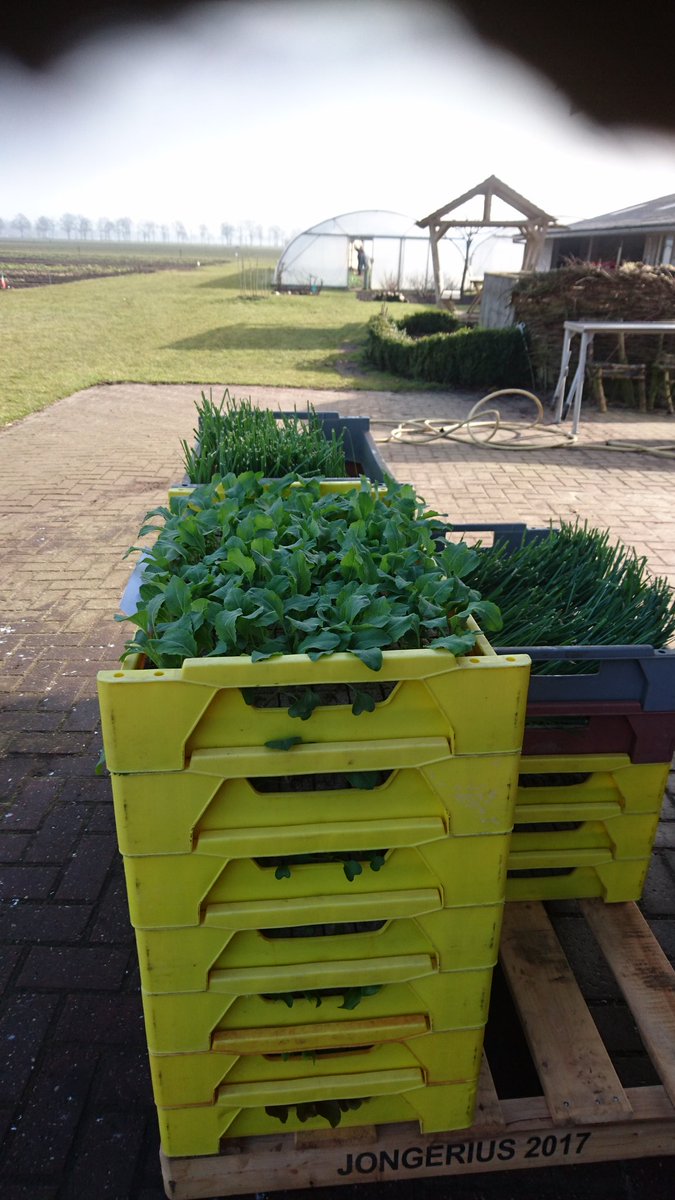 oscarjansen02's tweet photo. #lente. De toekomst staat klaar om geplant te worden. 
Eco boerderij als voorbeeld voor Natuurlijk #Leiderschap https://t.co/5xcKe3HUdb