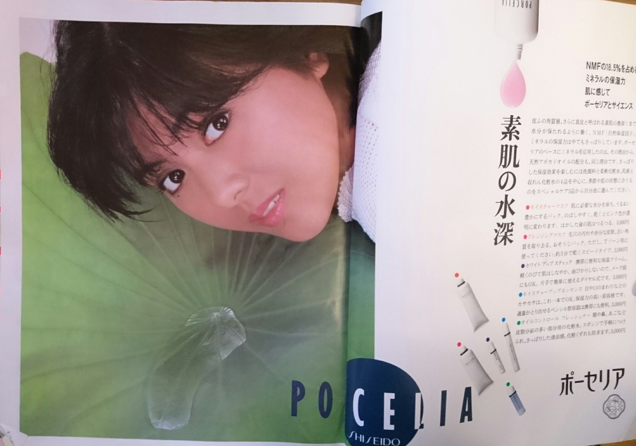 薬師丸ひろ子 レトロ 希少品 資生堂 ポーセリア 販売企画書