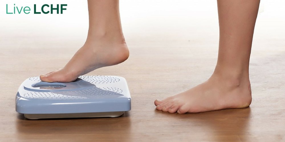 The LCHF Podcast tweet media