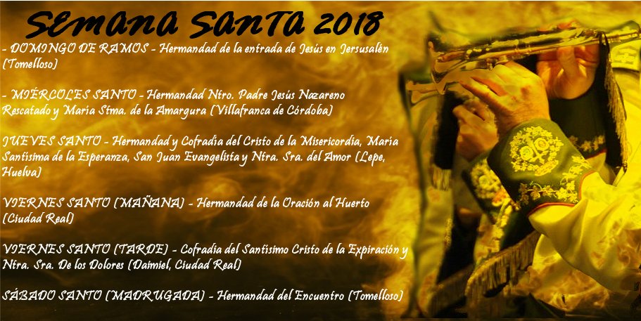 A tan solo 4 dias de la semana por la que trabajamos todo un año. Estas serán las hermandades que acompañaremos esta Semana Santa 2018