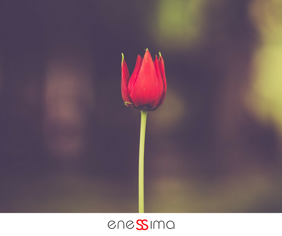 eneSSima tweet picture