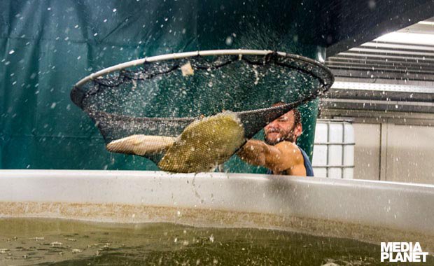 Vandaag verschijnt onze themabijlage 'Water' bij De Standaard. Lees alle antwoorden op de opkomende waterschaarste in België en innovatieve Belgische waterprojecten over de hele wereld. Nog meer weten? Dat kan op duurzametoekomst.be/topic/water  <a href="/MijnNatuurpunt/">Natuurpunt</a> @Vlakwa @i_cleantech