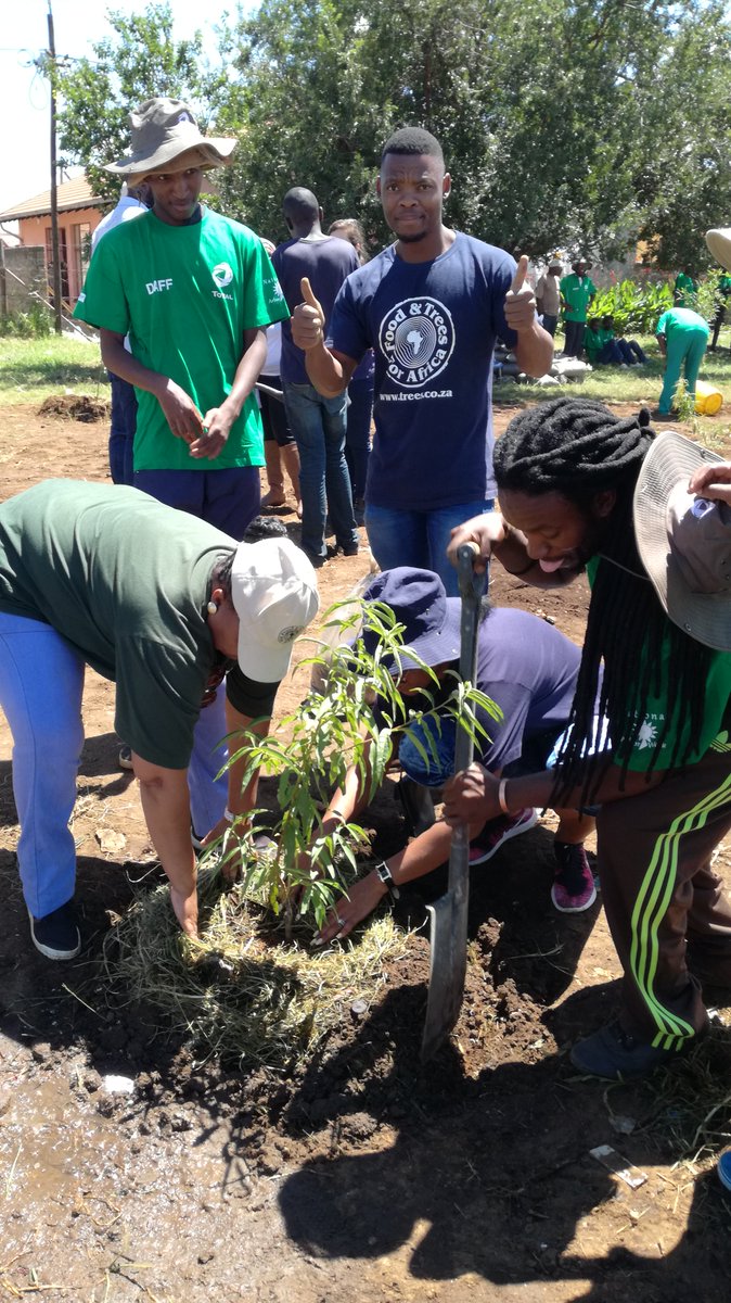ftfa's tweet photo. Our Food Forests Programme: Planting both trees &amp; food creates a sustainable forest that can provide both environmental benefit &amp; healthy food for communities. These forests can be a small-scale solution to food insecurity in our communities. #IntlForestDay #TFA #FGFA #TreesFirst https://t.co/j2G44Qj6hY