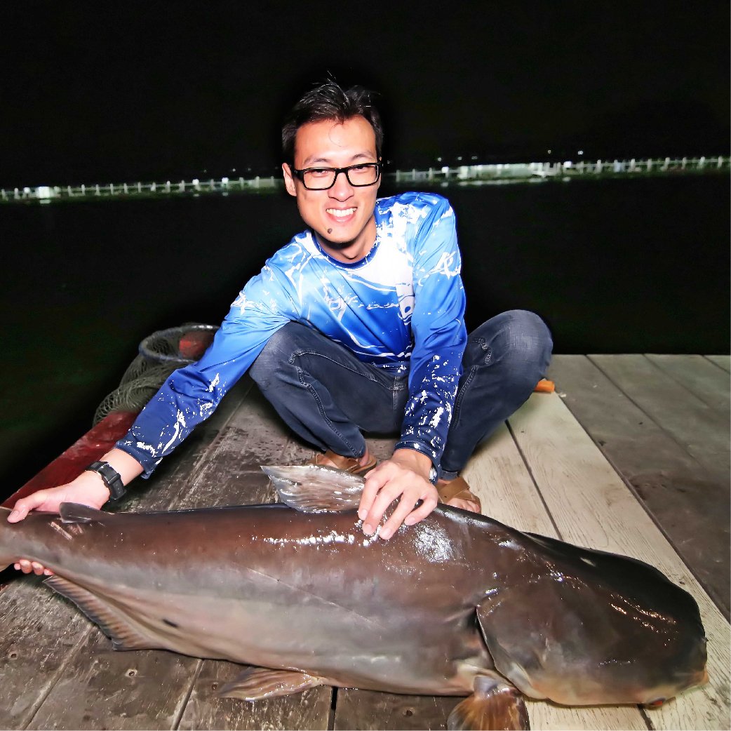 Mekong Giant Catfish tidak mempunyai gigi dan termasuk hewan herbivora yang hidup dengan memakan tanaman dan ganggang di sungai. Dalam lingkungan alam, ikan ini memakan tanaman darat, benthic ganggang, rumput liar dan serangga.