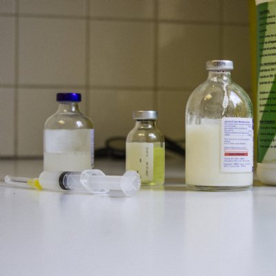 Dépêche Vétérinaire tweet media