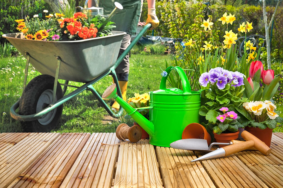 How to make your garden a key attraction in spring ow.ly/5xCj30iXZVU