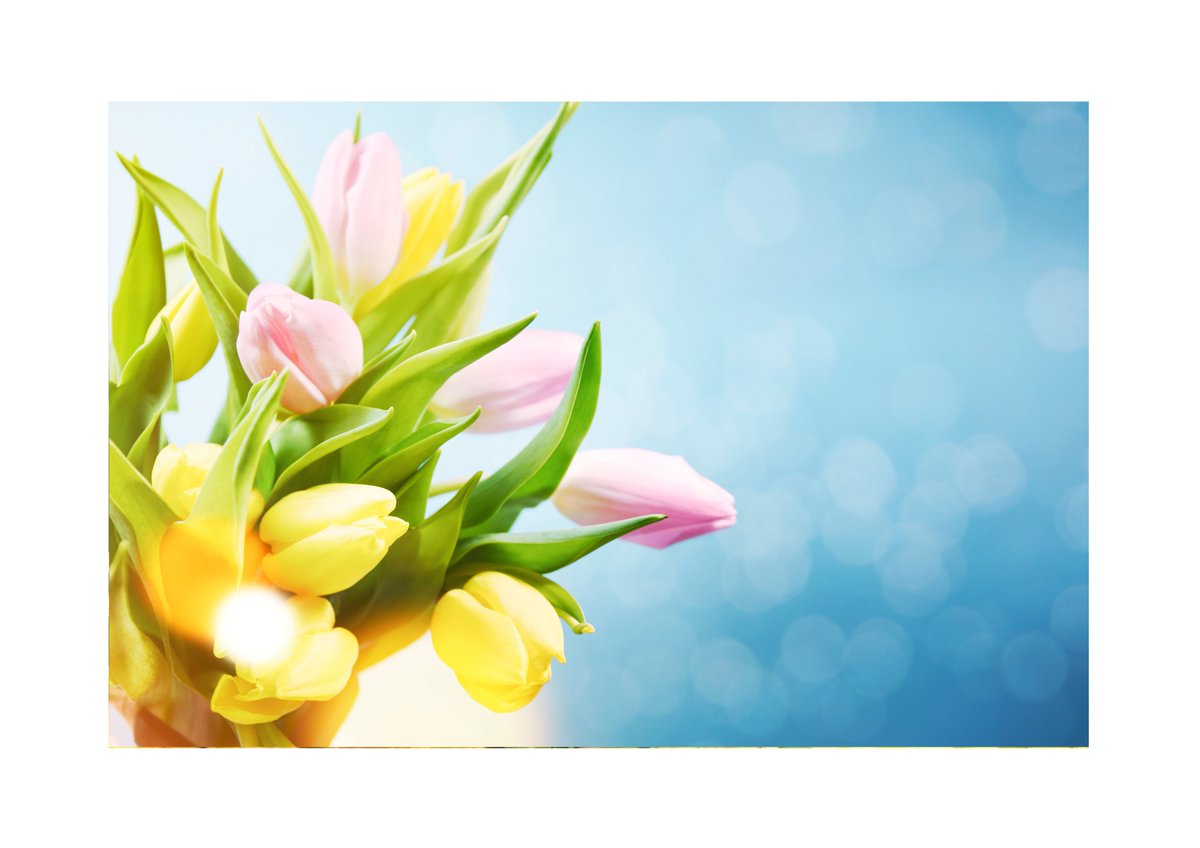 Spring has sprung <a href="/EmsonHaig/">Emson Haig</a> a beautiful day for some retail therapy @intuLakeside 
#shopping #jewellers #spring #lakeside #watches #jewellery #diamonds