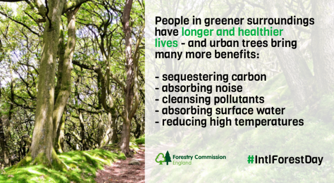 Trees in our towns and cities provide us with many benefits. They improve local air quality, capture and store carbon, reduce flooding and cool urban environments, and provide a home for animals and a space for people to relax or exercise. What do they do for you? #IntlForestsDay