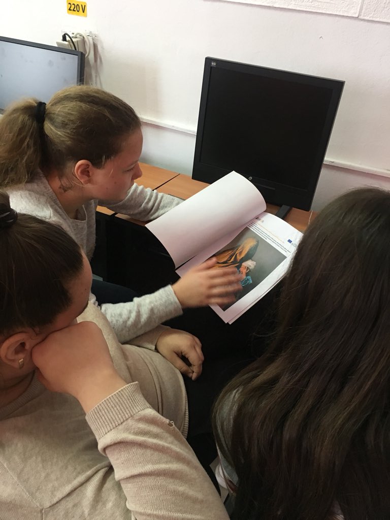 Ianculescu School tweet media