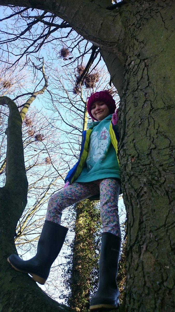 Kidsofthewild2's tweet image. Wild for #trees &amp;amp; #woods? It's #InternationalForestDay We're off to #Forest school! #KidsoftheWild #getoutside #GetOutdoors @ForestryCommEng @WoodlandTrust @vickibrightwood @ForestSchools @mtuff65