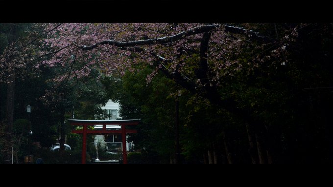「神社 鳥居」のTwitter画像/イラスト(新着)｜8ページ目