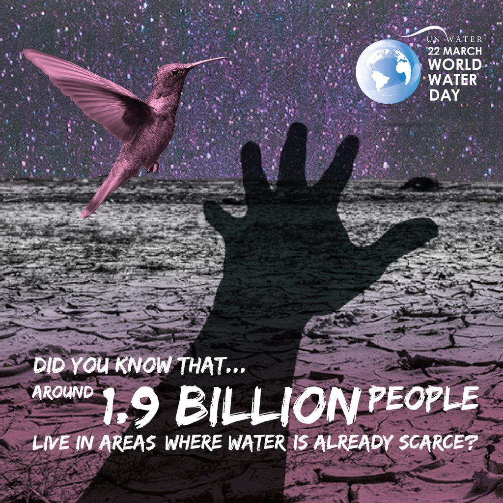 Loving this graphic by UN-Water; we're beyond ecstatic for World Water Day tomorrow!
