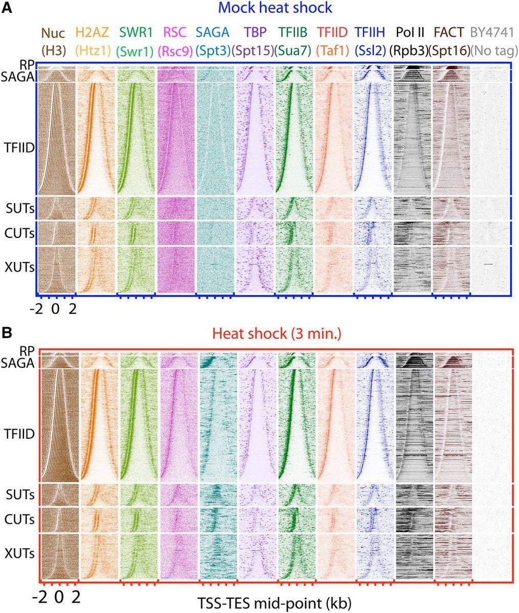 free Optimal Control