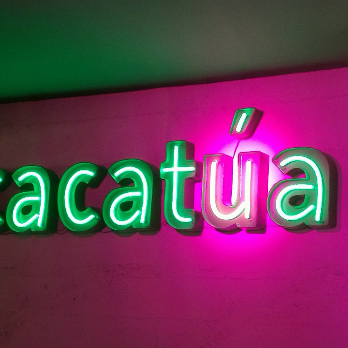 MajuelosS's tweet photo. Ayer estuvimos de estreno en #LaCacatúa donde disfrutamos de su cocina con #Malayeto de @vinazorzal . Genial el trato, ricas sugerencias y muchos detalles cuidados. ¡Estos chicos van a triunfar! #gastronomia #valladolid #enochalados https://t.co/iOfgZeNC30