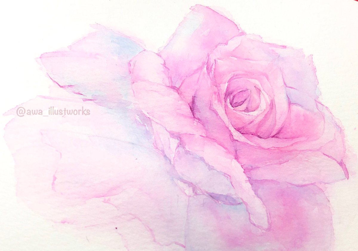 Awa ふわもこ堂の水彩屋さん ミジェロ さんのパーマネントマゼンタをメインで描いて見ました 薄めても綺麗 な鮮やかに色が載ってすごく綺麗 バラ 花 透明水彩 画材研究タグ