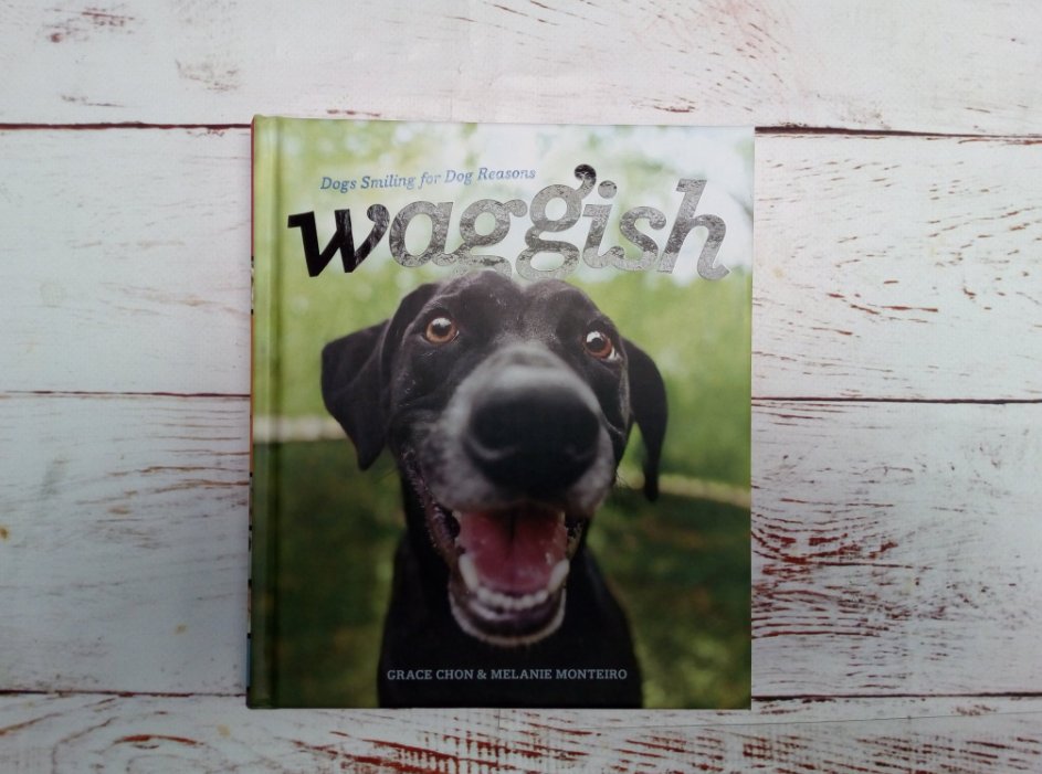 Dogs_Today's tweet photo. It's #WinitWednesday! Follow us and RT to win a copy of 'Waggish' - a photo book full of happy dogs to look at on a rainy day! UK only. https://t.co/EnmFmsfvcs