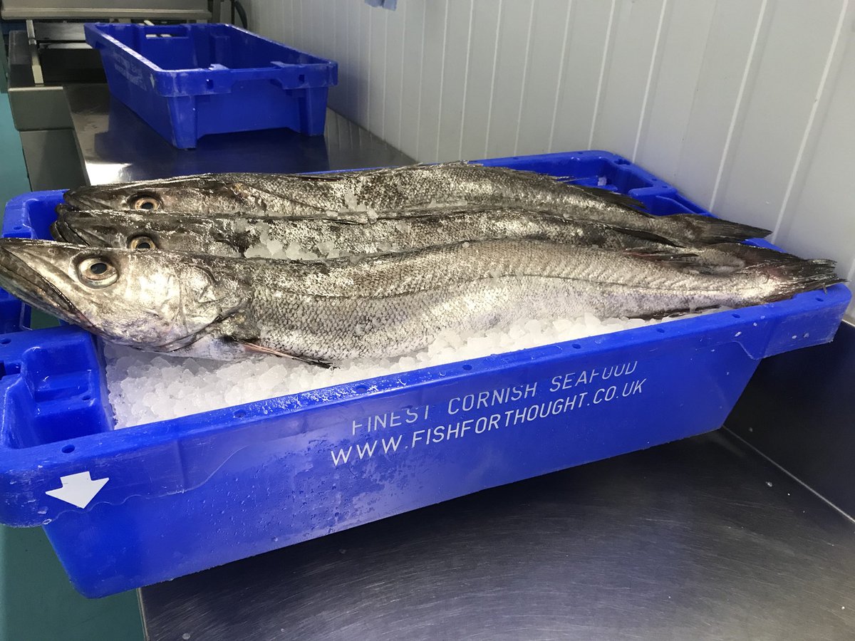 Fish for Thought tweet media