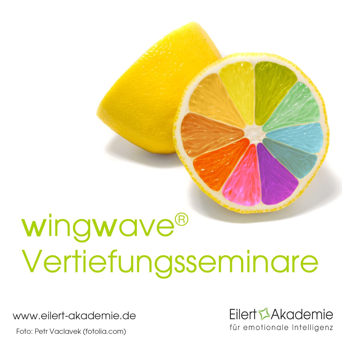EilertAkademie's tweet image. Morgen beginnt bei uns ein weiterer viertägiger Vertiefungs-Block mit den Seminaren "#Ziele und Ressourcen" und "Time-Line und Ressourcen". 🦋 Infos zu den #wingwave-Vertiefungsseminaren gibt es hier: eilert-akademie.de/wingwave_verti…