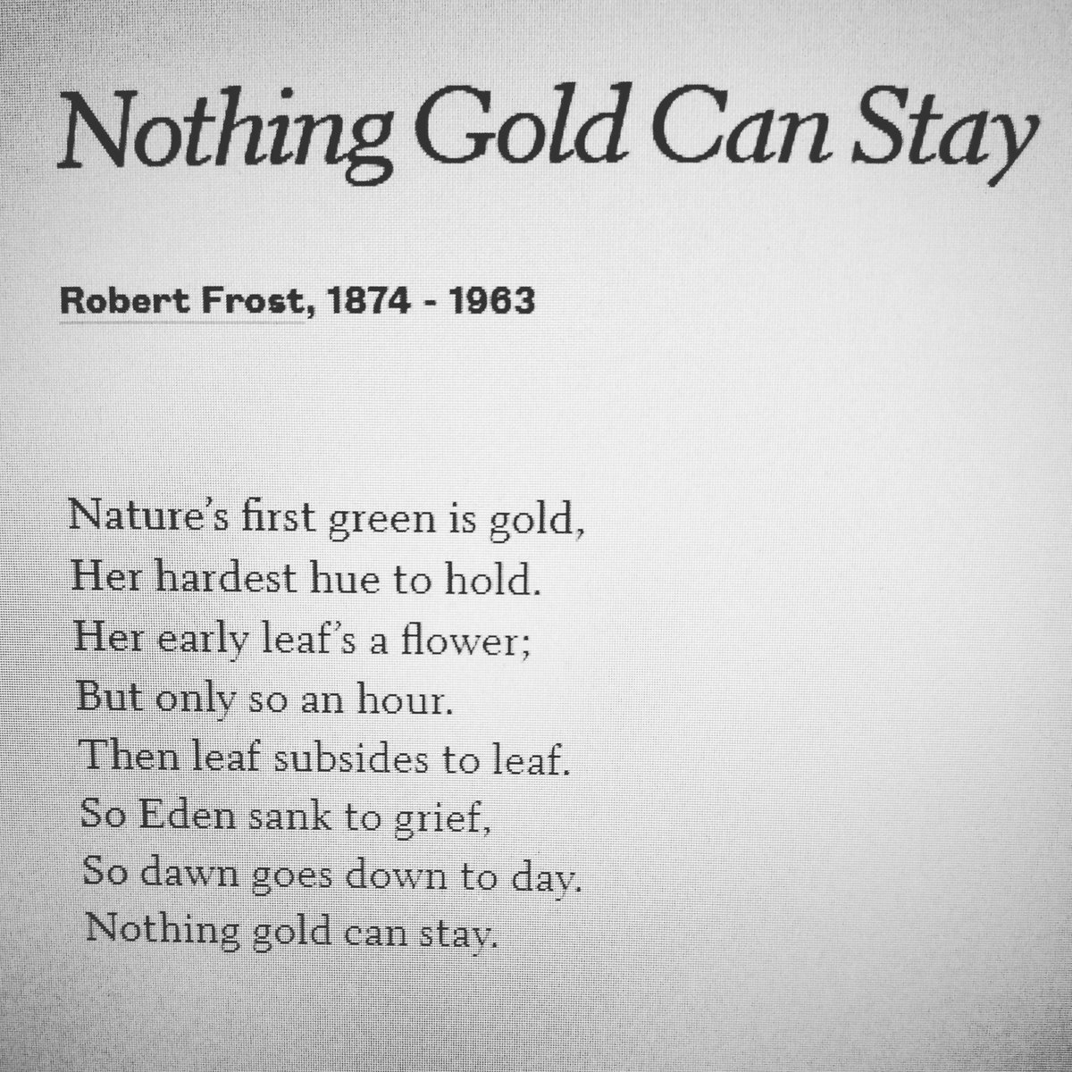 My_Sweet_Carol's tweet photo. Recuerdo, a mis 12 añitos, leer "Rebeldes" con compulsión. Y este poema, que me aprendí y no he olvidado. Como no he olvidado ese "stay gold" y a Ponyboy y Johnny en la colina.
#díamundialdelapoesía
#lecturasquemarcan https://t.co/YuqdTfb60u