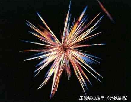 ビールに向かって ありがとう と言いながら飲むと体の中で綺麗な結晶ができる 攻撃力極振りの姿に震えるtl Togetter