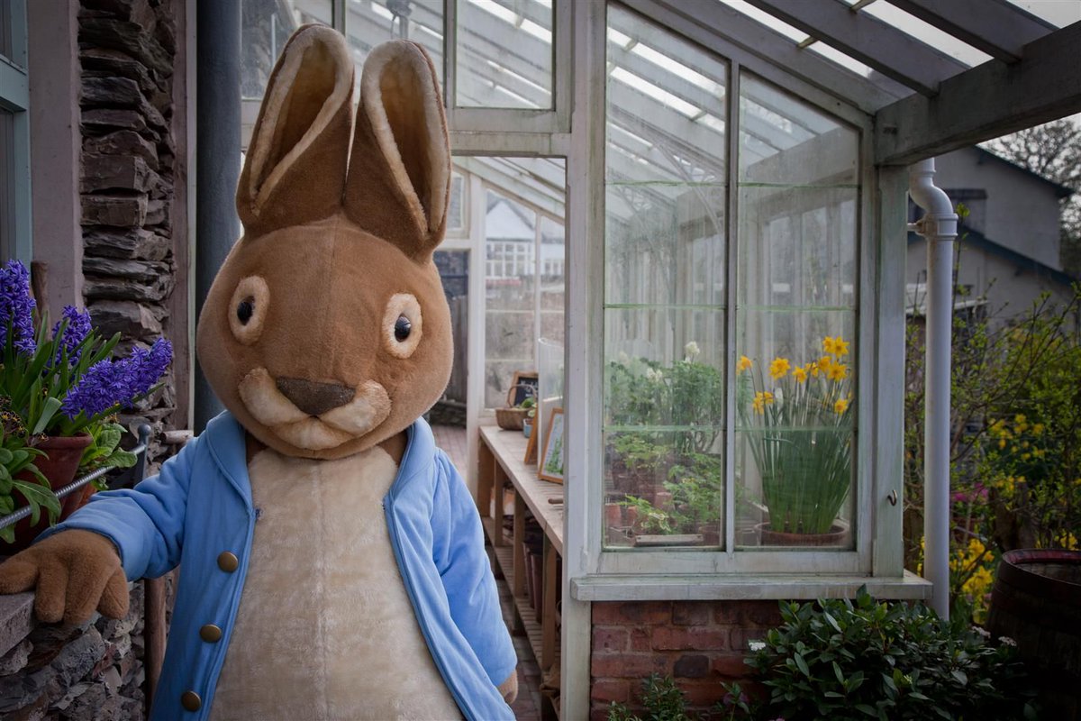 Peter Rabbit (@peterrabbitnews) | Twitter