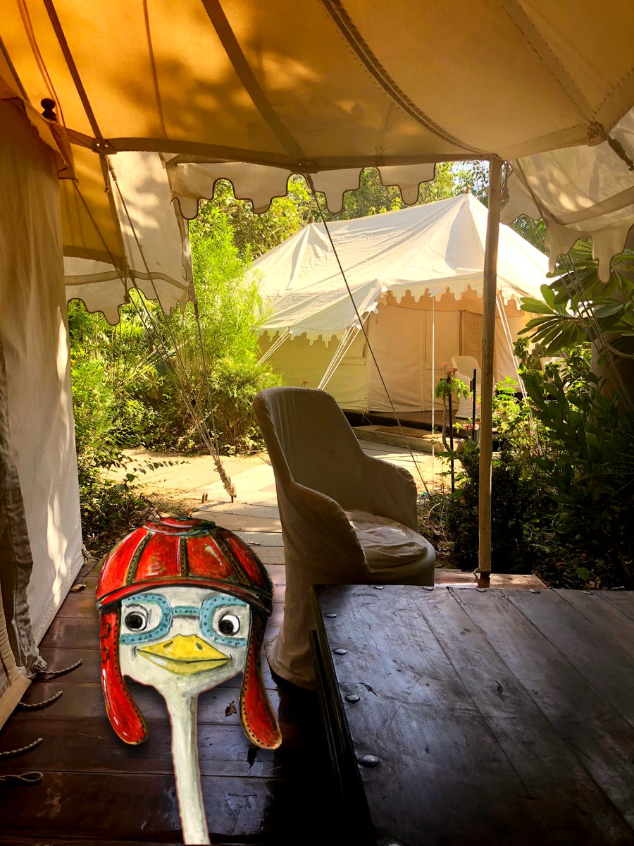 PaolaMerolli's tweet photo. Sbruffo e la sua tenda: pronto per il suo primo Tiger Safari 🐯 📖 🇮🇳️
#favola #bambini #viaggio #avventura #Sbruffo #bookstagram #21marzo #photography #primavera
Qui trovate il booktrailer della favola: https://t.co/YERFrfqprg 🎬 📖 💕 https://t.co/8S9xX4Iu6D https://t.co/nushwK5IrV