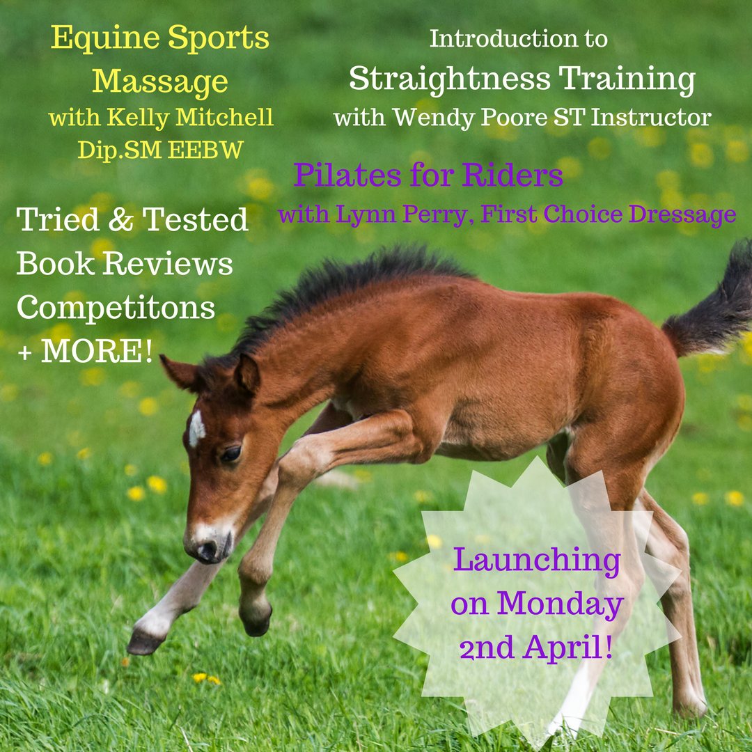 naturalhorsehub's tweet photo. Hands up if you're excited for launch day?!? We've got lots of great articles lined up for you, don't miss our launch day on 02/04/18!! #naturalhorsemanship #equinebloggers #equinemassage #pilatesforriders #straightnesstraining #horsesfirst #Horses #equine https://t.co/4fcFRpcCSr