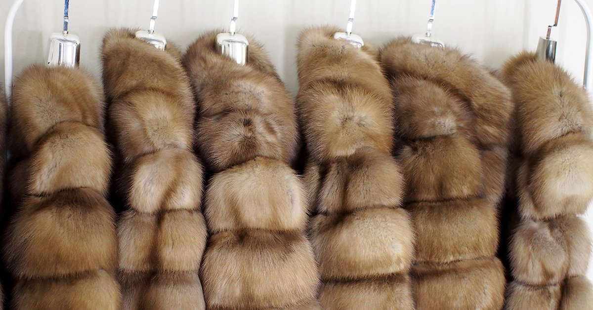 BoF's tweet photo. Have you heard? San Francisco is the first major city in the US to ban the sale of fur. Is fur unethical or good for business? https://t.co/DsZ8Ls6FJh https://t.co/NOFHfhetXJ