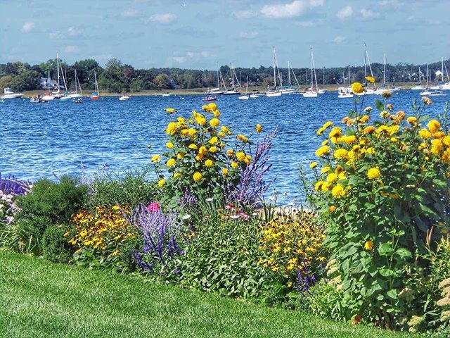 LisaHessionVA's tweet photo. Merrimack River View Newburyport in more “summer-y” times 🌊⚓️⛵️
•
•
•
#Weekends #newengland #scenicweekends #travel #photography #beach #ocean #photooftheday #scenic #nature #scenicphotography #landscapes #landscapelover #newenglandliving  #ipull… https://t.co/DrjyeGtUdL https://t.co/5mM1rrAqQ8