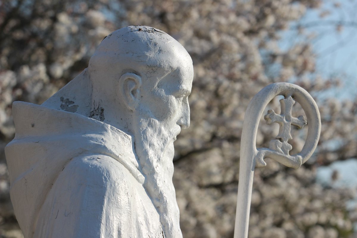 Happy St. Benedict's Day! College is Closed!