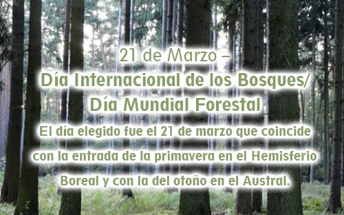 ateneopb's tweet photo. 21 de Marzo – Día internacional de los Bosques o el Día Mundial Forestal
En https://t.co/VmxqfiNIKX, encontrás articulos sobre bosques y la temática. https://t.co/zCXWGu2bnc https://t.co/kkj1ncIuHT