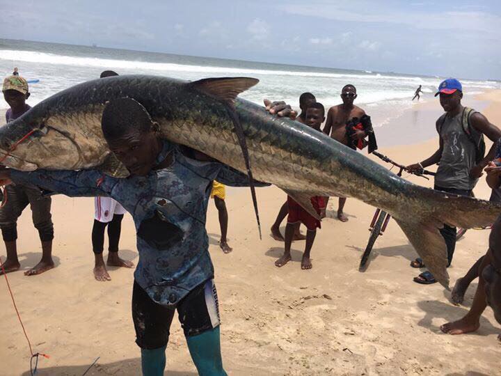 CongoVisit's tweet image. Humour : Quand tu te décides à te mettre à la pêche au Congo! 😁💪🏿
Cette photo a été prise à la Côte Sauvage, Pointe-Noire il y a quelques mois.