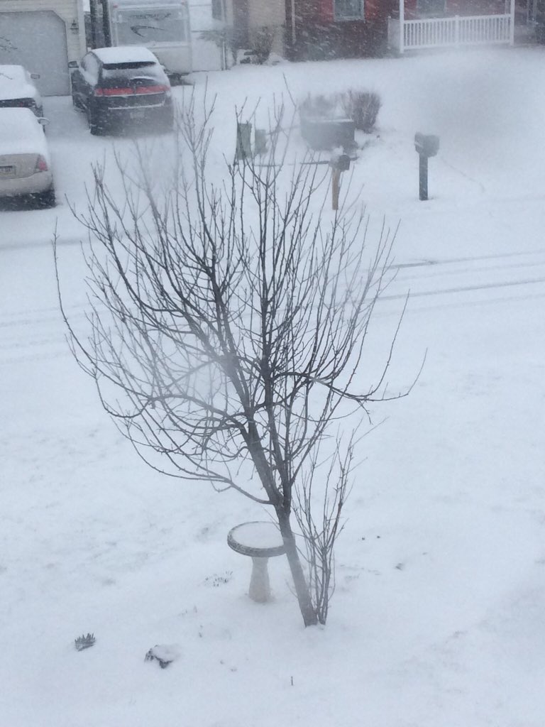 Aceboy_160's tweet photo. First day of spring was yesterday... Don’t you just love Spring.
#firstdayofspring #Yeahright #snow https://t.co/evqQBrWqsf