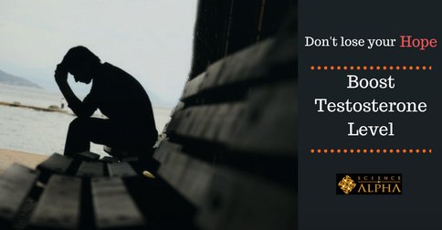 scienceofalpha's tweet image. Do not lose your hope because of low #testosteronelevel. Science of Alpha presents one of the best supplements which help you to grow robust energy, body mass and the bliss of physical satisfaction with the help of booted #testosteronepower.  
bit.ly/2HsG3wP