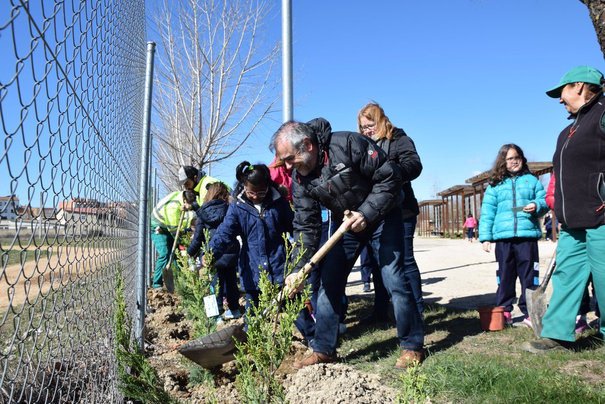 La Bañeza celebra el día del árbol, con la participación de los tres colegios de la ciudad. Los niños y niñas de primero de primaria plantaron 120 árboles.