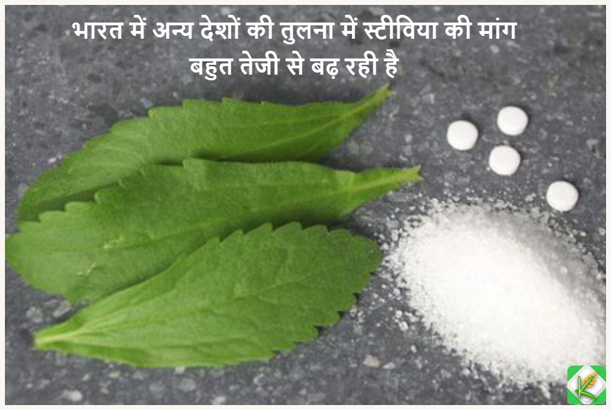 KrishiHelp's tweet photo. किसान स्टीविया की खेती से बढ़िया मुनाफा कमा सकते हैंlइस फसल की सबसे अच्छी बात यै है कि इसमें कोई रोग नहीं लगता और एक एकड़ में पांच से छह लाख रुपए की कमाई आराम से कर सकते हैं।इसके पौधे से जो पाउडर तैयार किया जाता है वो चीनी के मुकाबले 300 गुना ज्यादा मीठी है।
#Stivia #Krishi https://t.co/rOyPbepDXW
